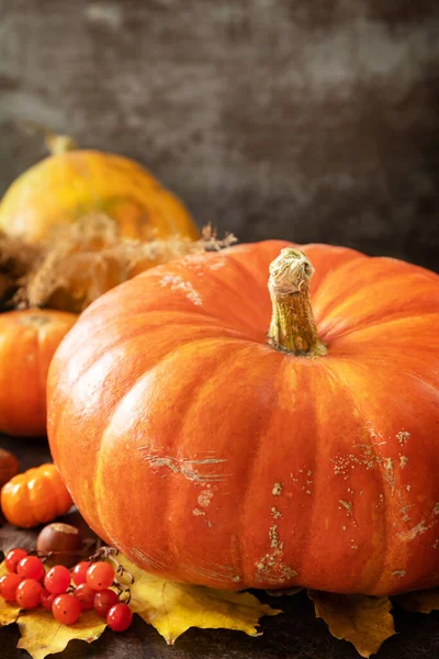 Podzimní Den Díkůvzdání Nebo Halloween Pozadí Slavnostní Podzimní Dekor Zralých — Stock fotografie