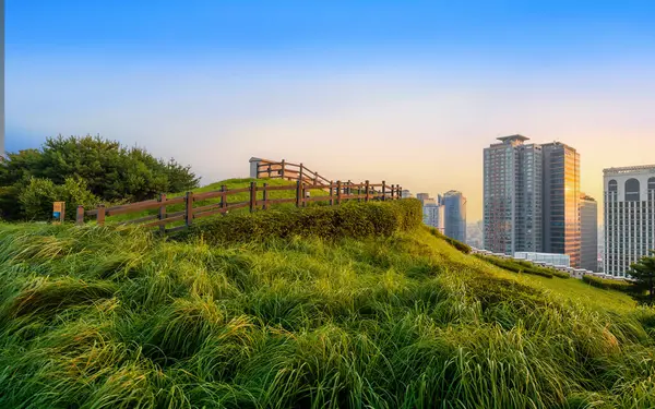 Seoul South Korea July 2023 Namsan Park View Point Beautiful — Stock Photo, Image