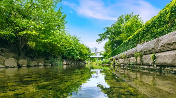 Cheonggyecheon Stream Güney Kore Nin Seul Kentini Ziyaret Ederken Popüler — Stok fotoğraf