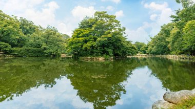 Chundangji Pond Changgyeonggung Sarayı, Seul 'da, berrak mavi gökyüzünün altındaki sakin suya yansıyan yemyeşil ağaçların huzurlu manzarası..