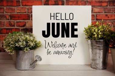 Merhaba June. Metal vazo dekorasyonunda yapay bitki içeren kısa mesaj.