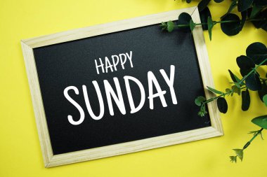 Happy Sunday typography text written on wooden blackboard with green eucalyptus decoration on yellow background