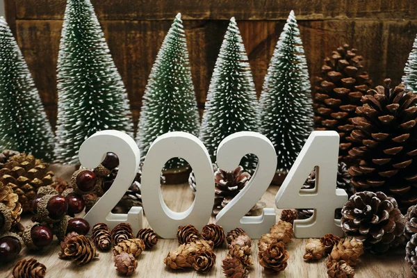 Feliz Ano Novo 2024 Decoração Com Árvore Natal Pinhas Fundo — Fotografia de Stock