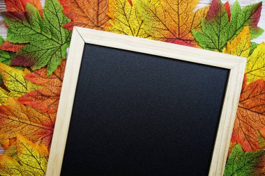 Akçaağaç yapraklı kopya için boş boşluk tahta arkaplan üzerinde sınır çerçevesi bırakır