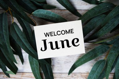 Ahşap arkaplanda yeşil yaprak dekorasyonlu June metin mesajı üst görünümü