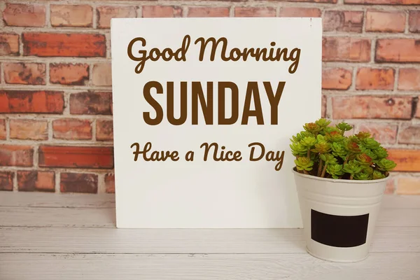Good Morning Sunday written on wooden board with artificial plant