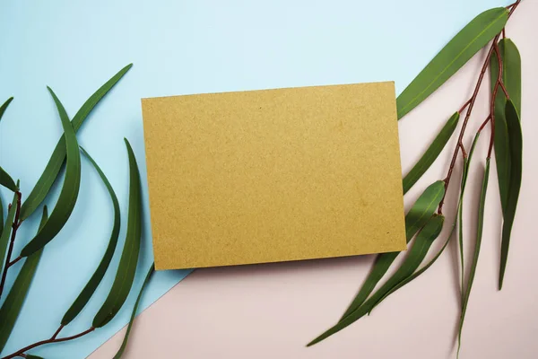 stock image Empty invitation card mockup with green eucalyptus leaves on pink and blue background