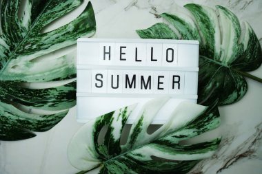 Hello Summer word in lightbox with Monstera Leaves on marble background