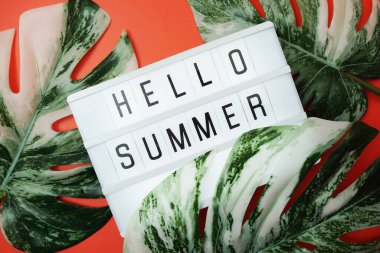 Merhaba. Monstera 'nın kırmızı arka planda bıraktığı ışıklı kutuda yaz kelimesi.