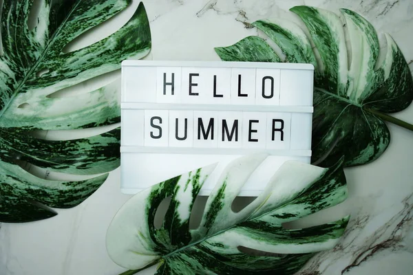 Hello Summer Word Lightbox Monstera Leaves Marble Background — Stock Photo, Image