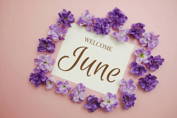 Welcome June Card Typography Text Flower Bouquet Pink Background — Stok Foto