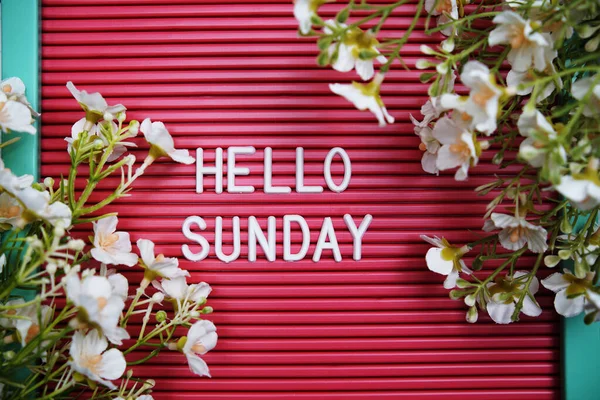 Hello Sunday Text Letter Board Flower Decoration — Stock Photo, Image