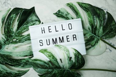 Hello Summer word in lightbox with Monstera Leaves on marble background