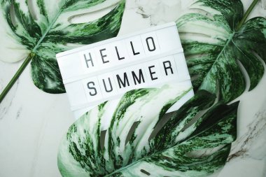 Hello Summer word in lightbox with Monstera Leaves on marble background