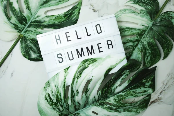 stock image Hello Summer word in lightbox with Monstera Leaves on marble background