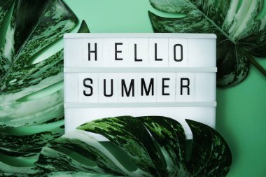 Merhaba. Monstera 'nın yeşil arka planda bıraktığı ışıklı kutuda yaz kelimesi.