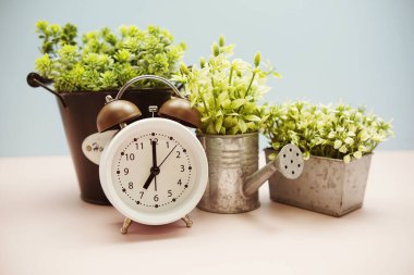 Pembe ve mavi arkaplanda yapay bitkiler olan beyaz alarm saati