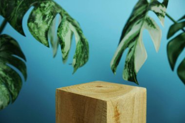 Ahşap podyum sahne sahne gösterisi ön görünümü kopya alanı ve canavar mavi arka planda dekorasyon bırakır