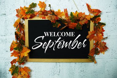Akçaağaç yaprakları ile karatahta dekorasyonu üzerine Eylül mesajına hoş geldiniz.