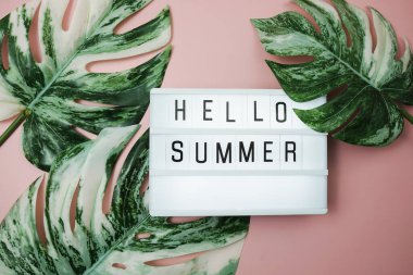 Hello Summer word in lightbox with Monstera Leaves on pink background