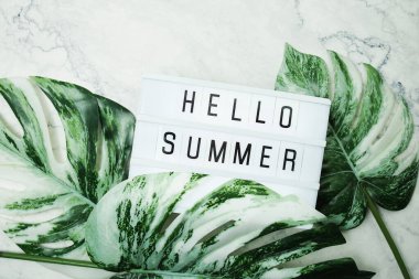 Hello Summer word in lightbox with Monstera Leaves on marble background