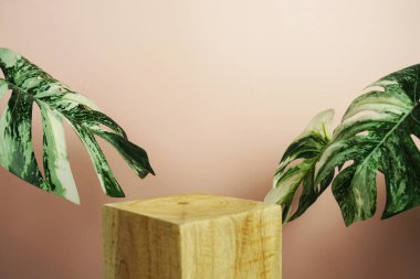 Ahşap podyum sahne sahne gösterisi ön görünümü fotokopi alanı ve canavar pembe arka planda süsleme