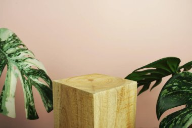 Ahşap podyum sahne sahne gösterisi ön görünümü fotokopi alanı ve canavar pembe arka planda süsleme