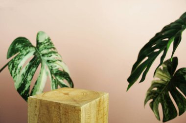 Ahşap podyum sahne sahne gösterisi ön görünümü fotokopi alanı ve canavar pembe arka planda süsleme