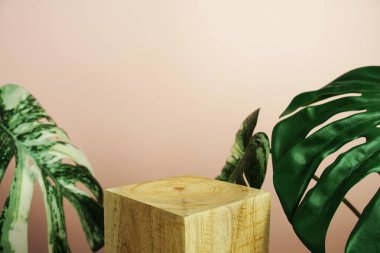 Ahşap podyum sahne sahne gösterisi ön görünümü fotokopi alanı ve canavar pembe arka planda süsleme