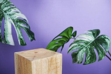 Ahşap podyum sahne sahne gösterisi ön görünümü kopya alanı ve canavar mor arka planda dekorasyon bırakır