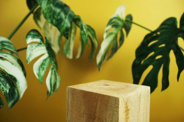 Ahşap podyum sahne sahne gösterisi ön görünümü kopya alanı ve canavar yaprakları sarı arka planda