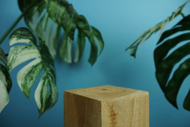 Ahşap podyum sahne sahne gösterisi ön görünümü kopya alanı ve canavar mavi arka planda dekorasyon bırakır