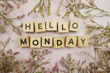 Merhaba Pazartesi alfabe harfi pembe arkaplan