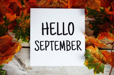 Merhaba Eylül metni ve ahşap arkaplan üzerinde akçaağaç yaprağı dekorasyonu üst görünümü