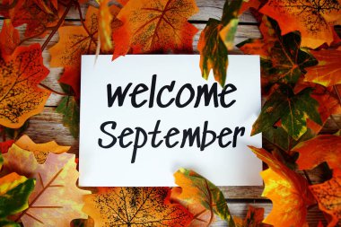 Ahşap arkaplanda akçaağaç yaprağı dekorasyonlu Eylül ayına hoş geldiniz metni