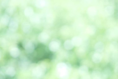 Yumuşak odak Yeşil Pastel Soyut Bokeh arkaplan Parıldayan estetik desenli