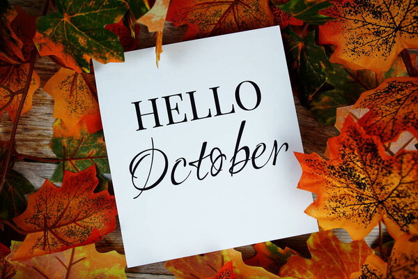 Текст Hello Octavia с видом сверху на деревянный фон