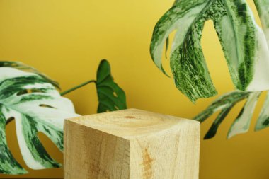 Ahşap podyum sahne sahne gösterisi ön görünümü kopya alanı ve canavar yaprakları sarı arka planda