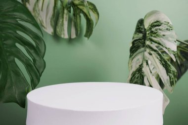 Beyaz podyum sahne sahne gösterisi ön görünümü fotokopi alanı ve canavar yeşil arka planda dekorasyon bırakır