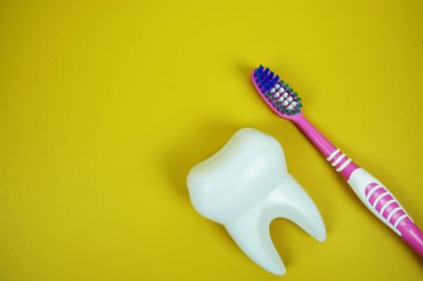 Diş fırçası ve Beyaz Diş modeli diş temizliği konsepti sarı arka planda