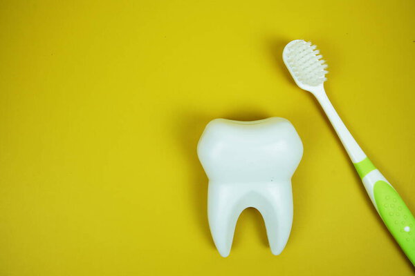 Toothbrush and White Tooth model dental hygiene concept on yellow background
