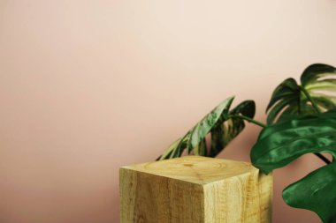 Ahşap podyum sahne sahne gösterisi ön görünümü fotokopi alanı ve canavar pembe arka planda süsleme