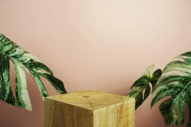 Ahşap podyum sahne sahne gösterisi ön görünümü fotokopi alanı ve canavar pembe arka planda süsleme