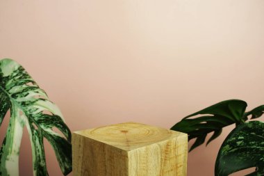 Ahşap podyum sahne sahne gösterisi ön görünümü fotokopi alanı ve canavar pembe arka planda süsleme