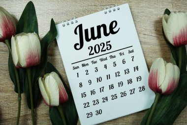 Planlama ve yönetim için yıllık Haziran 2025 masa takvimi