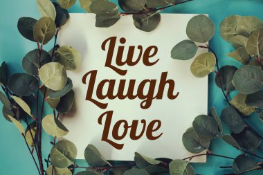 Mavi arka planda yapay yeşil yapraklı okaliptüs içeren Live Laugh Love metni