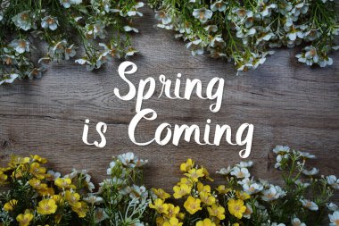 Tahta arka planda çiçek desenli bahar geliyor.