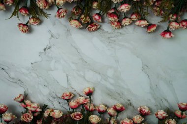 Çiçekler Kenarlık Çerçeve ile mermer arkaplan üzerinde uzay kopyası