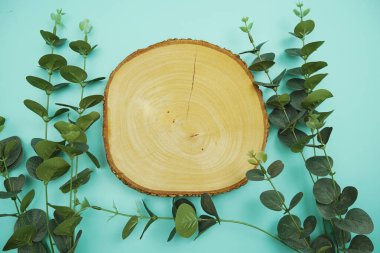 Ahşap podyum ürün görüntüsü düz duruyor. Mavi arkaplanda yapraklar var.