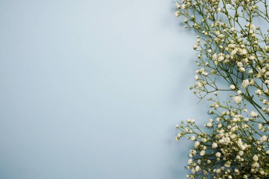 Mavi arkaplanda kopya arkaplanı ve çiçek süslemesi için boşluk